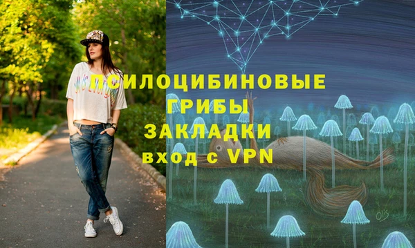 эйфоретик Алексин