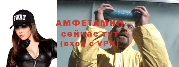индика Алзамай