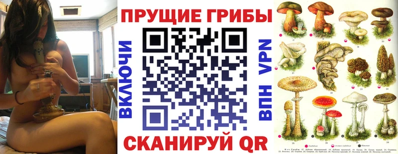 Галлюциногенные грибы MAGIC MUSHROOMS  Карасук 